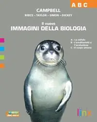 Bestseller Il nuovo immagini della biologia. Vol. A-B-C. Per le Scuole superiori. Con espansione online