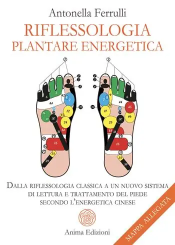 Riflessologia plantare energetica. Dalla riflessologia classica a un nuovo sistema di lettura e trattamento del piede secondo l‘energetica cinese. Con mappa Spedito Oggi