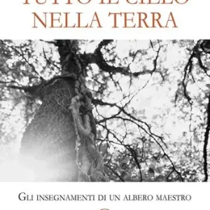 Solo Oggi Tutto il cielo nella terra. Gli insegnamenti di un albero maestro