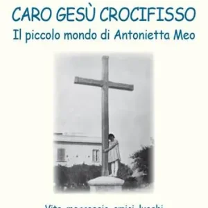 Super Prezzo Caro Gesù crocifisso. Il piccolo mondo di Antonietta Meo. Vita, messaggio, amici, luoghi