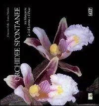 Affare Orchidee spontanee tra Marcarolo la Val Lemme e il Piota. Ediz. illustrata