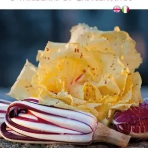 Radicchio Rosso di Treviso e Variegato di Castelfranco. Ediz. bilingue Sconto