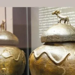 Bestseller Museo Archeologico Nazionale di Chiavari