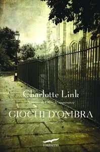 Professionale Giochi d‘ombra