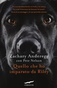 Compra Online Quello che ho imparato da Riley
