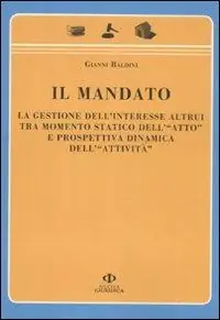 Spedito Oggi Il mandato. La gestione dell‘interesse altrui tra momento statico dell‘«atto» e prospettiva dinamica dell‘«attività»