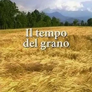 Il tempo del grano Ultima Occasione