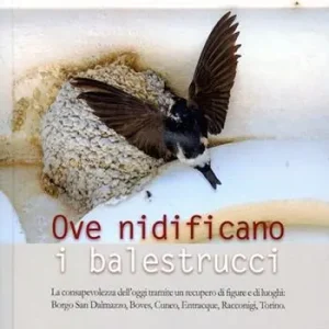 Ultimissimo Modello Ove nidificano i balestrucci. La consapevolezza dell‘oggi tramite un recupero di figure e di luoghi Borgo san Dalmazzo, Boves, Cuneo, Entracque, Racconigi, Torino