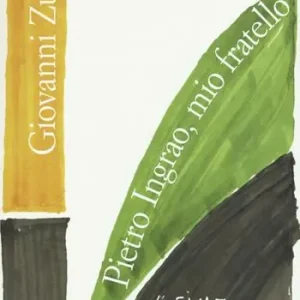 Pietro Ingrao, mio fratello Prezzo Di Fabbrica