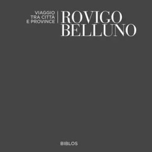 Solo Oggi Rovigo, Belluno. Viaggio tra città e province