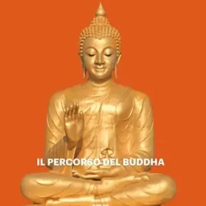 Il percorso del Buddha Professionale