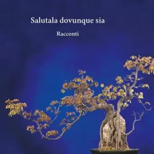 Salutala dovunque sia Non Perdere