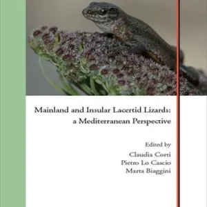 Prezzo Ridotto Mainland and insular lacertid lizard. A Mediterranean perspective