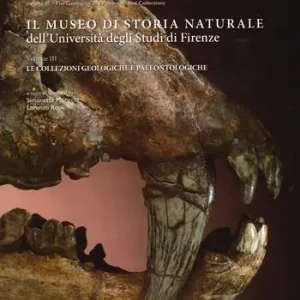 Sconto Il museo di storia naturale dell‘Università degli studi di Firenze. Le collezioni geologiche e paleontologiche. Ediz. italiana e inglese