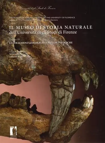 Sconto Il museo di storia naturale dell‘Università degli studi di Firenze. Le collezioni geologiche e paleontologiche. Ediz. italiana e inglese