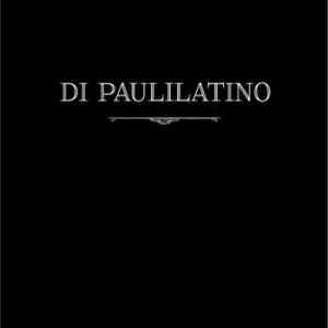 Ultime Pezzi Di Paulilatino. Ediz. illustrata