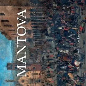 Occasione Mantova. Ediz. illustrata