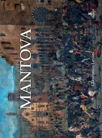 Occasione Mantova. Ediz. illustrata