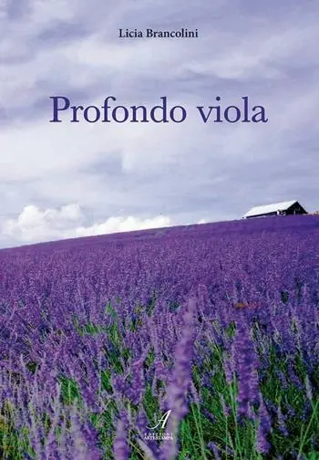 Profondo viola Ultima Occasione