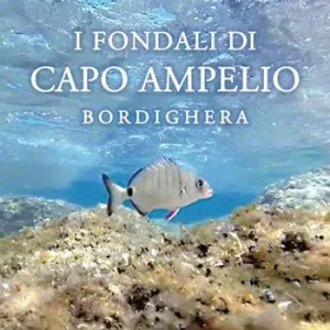 I fondali di Capo Ampelio. Bordighera Prezzo Di Fabbrica