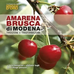 Amarena brusca di Modena. Tradizione e trasformazione Vendita Finale