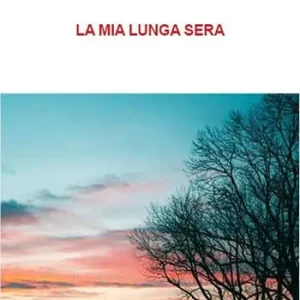 Affare La mia lunga sera