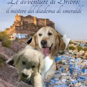 Ultima Occasione Le avventure di Bribro il mistero del diadema di smeraldi
