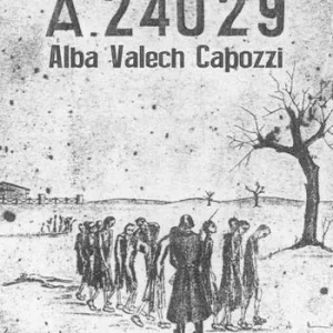 Di Tendenza A-24029
