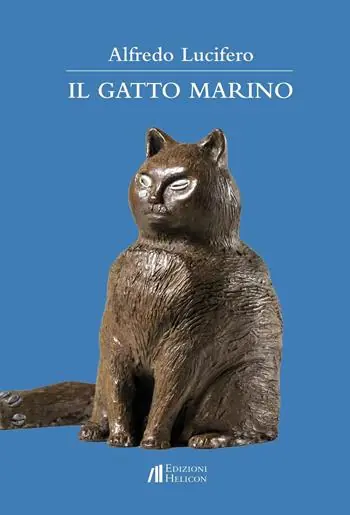 Il gatto Marino Solo Oggi