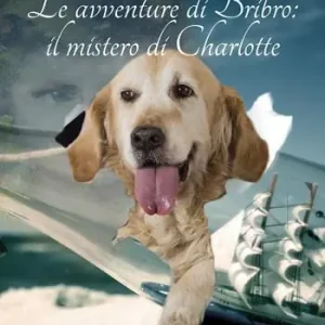 Affare Le avventure di Bribro il mistero di Charlotte