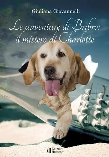 Affare Le avventure di Bribro il mistero di Charlotte