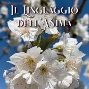 Il linguaggio dell‘anima Ultima Occasione