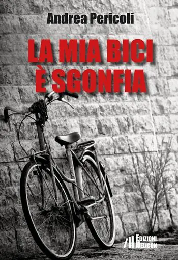 La mia bici è sgonfia Spedito Oggi