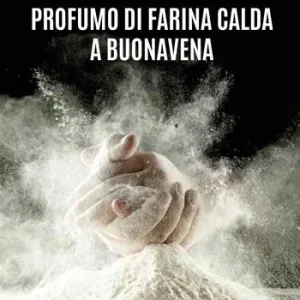 Ultime Pezzi Profumo di farina calda a Buonavena