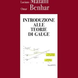 Introduzione alle teorie di Gauge Nuovo Arrivo