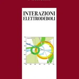 Interazioni elettrodeboli Spedizione Espresso