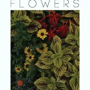 Plants. Flowers. Ediz. a colori Offerta