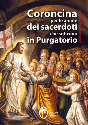 Super Prezzo Coroncina per le anime dei sacerdoti che soffrono in purgatorio