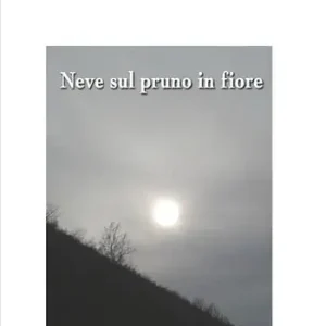 Neve sul pruno in fiore Super Prezzo