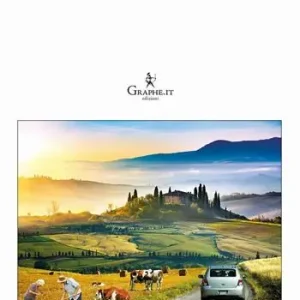 Miglior Prezzo Due compleanni e una città