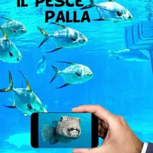 Il pesce palla Di Tendenza