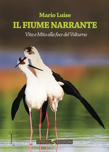 Il fiume narrante Solo Oggi
