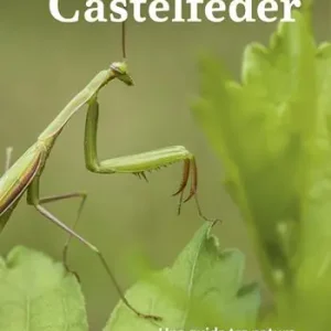 Solo Oggi Castelfeder. Una guida tra natura, archeologia e sapienza popolare