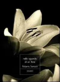 Nello sguardo di un fiore Solo Oggi