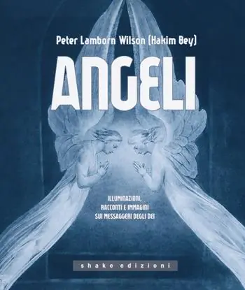 Più Venduto Angeli. Illuminazioni, racconti e immagini sui messaggeri