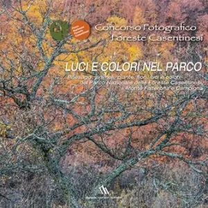 Nuova Collezione Concorso fotografico foreste casentinesi. Luci e colori nel parco. Ediz. illustrata