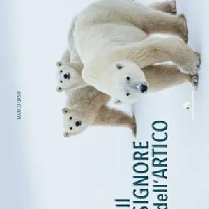 Occasione Il signore dell‘Artico. Ediz. illustrata