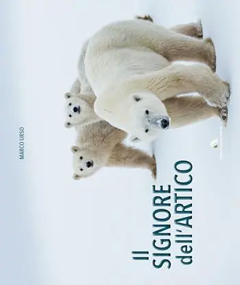 Occasione Il signore dell‘Artico. Ediz. illustrata