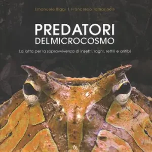 Prezzo Ridotto Predatori del microcosmo. La lotta per la sopravvivenza di insetti, ragni, rettili e anfibi. Ediz. a colori