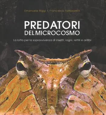 Prezzo Ridotto Predatori del microcosmo. La lotta per la sopravvivenza di insetti, ragni, rettili e anfibi. Ediz. a colori